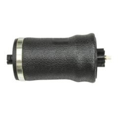 Cabin Air Suspension Spring